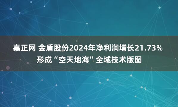 嘉正网 金盾股份2024年净利润增长21.73% 形成“空天地海”全域技术版图