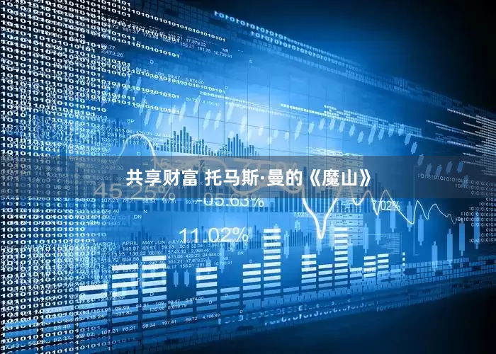 共享财富 托马斯·曼的《魔山》