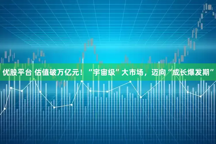 优股平台 估值破万亿元！“宇宙级”大市场，迈向“成长爆发期”