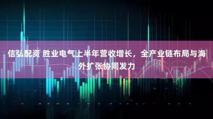 信弘配资 胜业电气上半年营收增长，全产业链布局与海外扩张协同发力