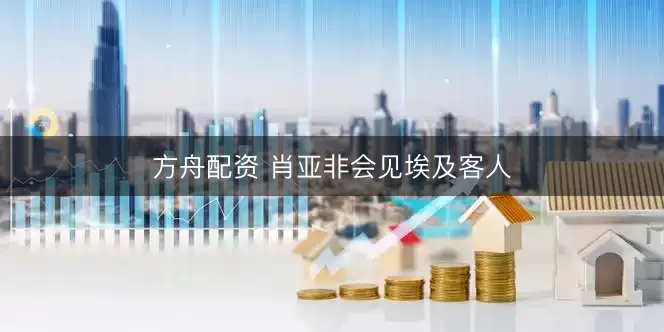 方舟配资 肖亚非会见埃及客人