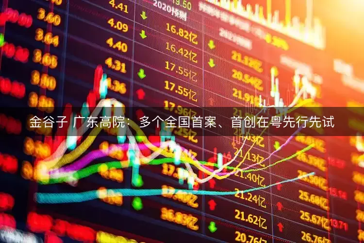 金谷子 广东高院：多个全国首案、首创在粤先行先试